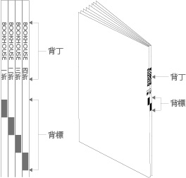 背丁